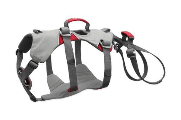 30301 DoublebackHarness