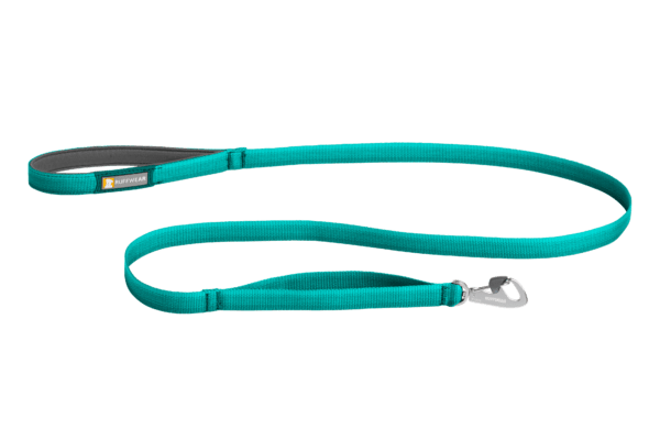 40751 Front Range Leash Aurora Teal STUDIO