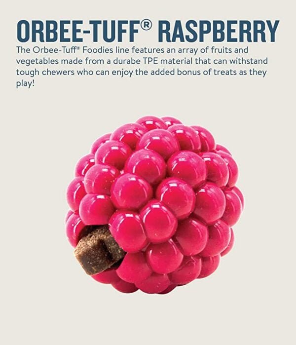 orbee tuff raspberry