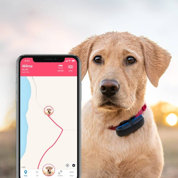 tractive dog live tracking