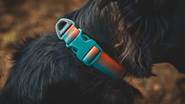 Ruffwear