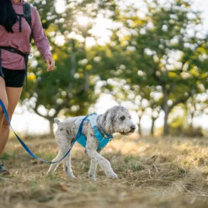 Ruffwear