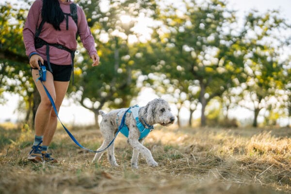 Ruffwear