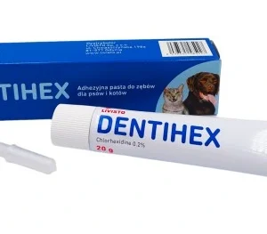 DENTIHEX 20g