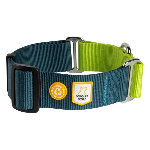 color block martingale collar deep teal