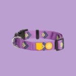 Woolly Wolf Northern Lights ogrlica