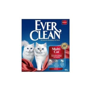 ever clean