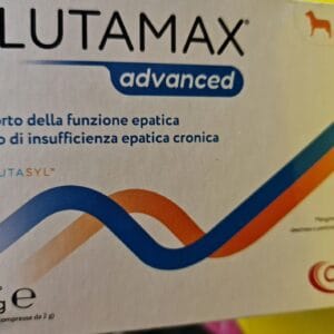 glutamax