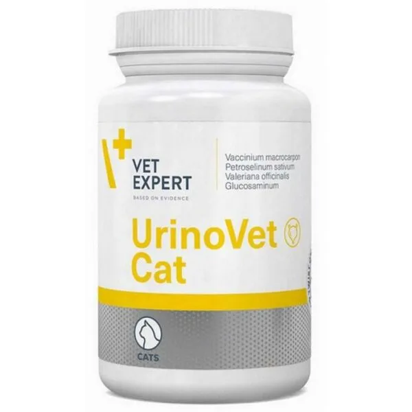vet expert
