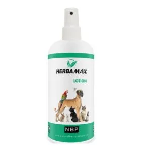 herba max