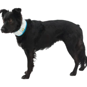 ruffwear