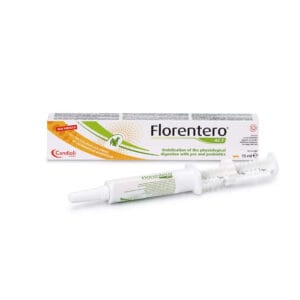 florentero
