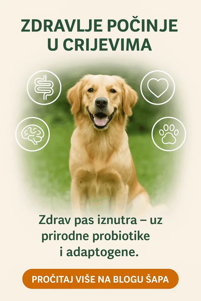 probiotik