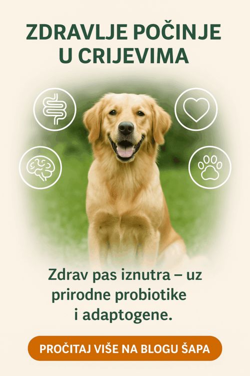 probiotik