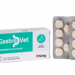 gastrovet