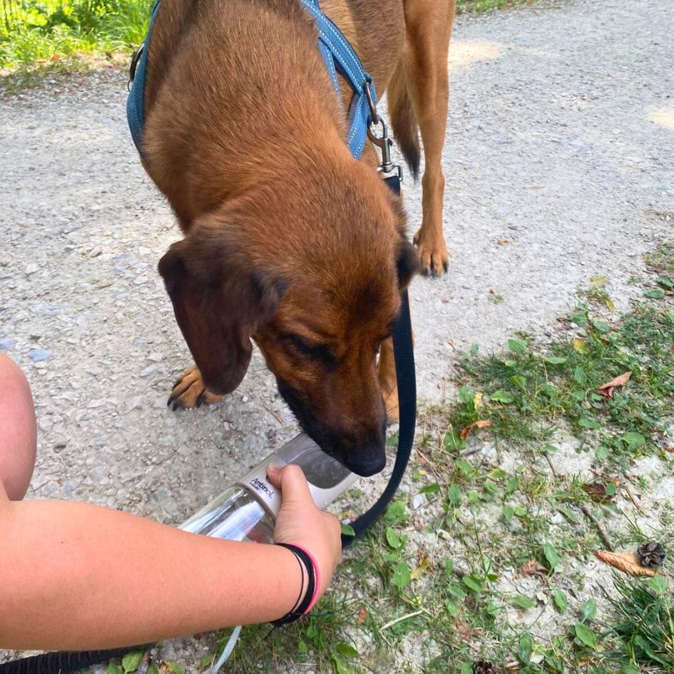 prijenosna boca za vodu 2 boca za vodu