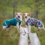 KevytPomppa, kaputić za pse