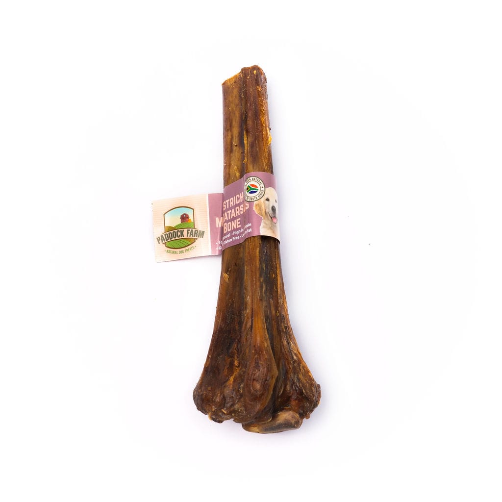Ostrich-Metatarsus-Bone-Nova-Dog-Chews-1-2 nojeva kost