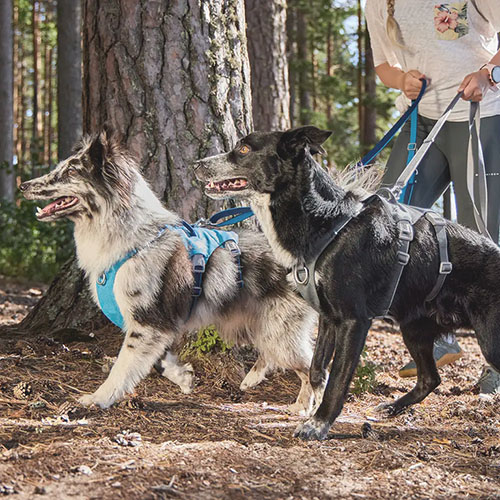 hurtta multilong II hurtta