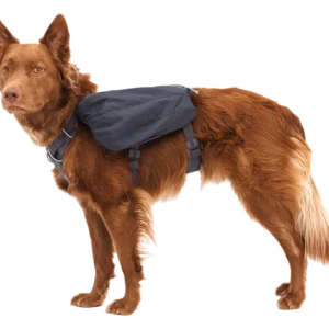 ruffwear bisage