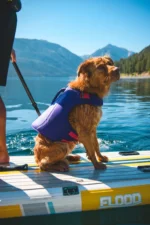 ruffwear