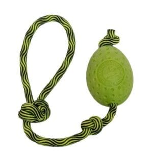 kiwi walker
