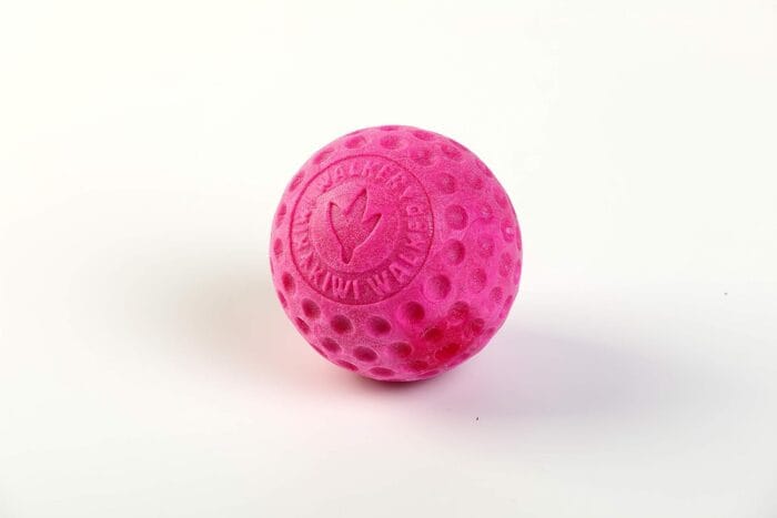 kiwi walker loptica mini pink kiwi walker