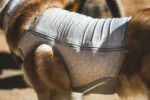 Ruffwear rashladni prsluk za pse Swamp Cooler Zip™ Vest - Slika 2