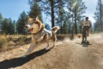 Ruffwear rashladni prsluk za pse Swamp Cooler Zip™ Vest - Slika 4