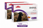 antinol