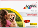 antinol junior
