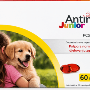 antinol junior