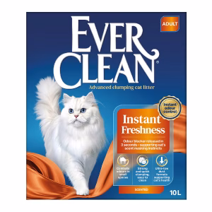 ever clean
