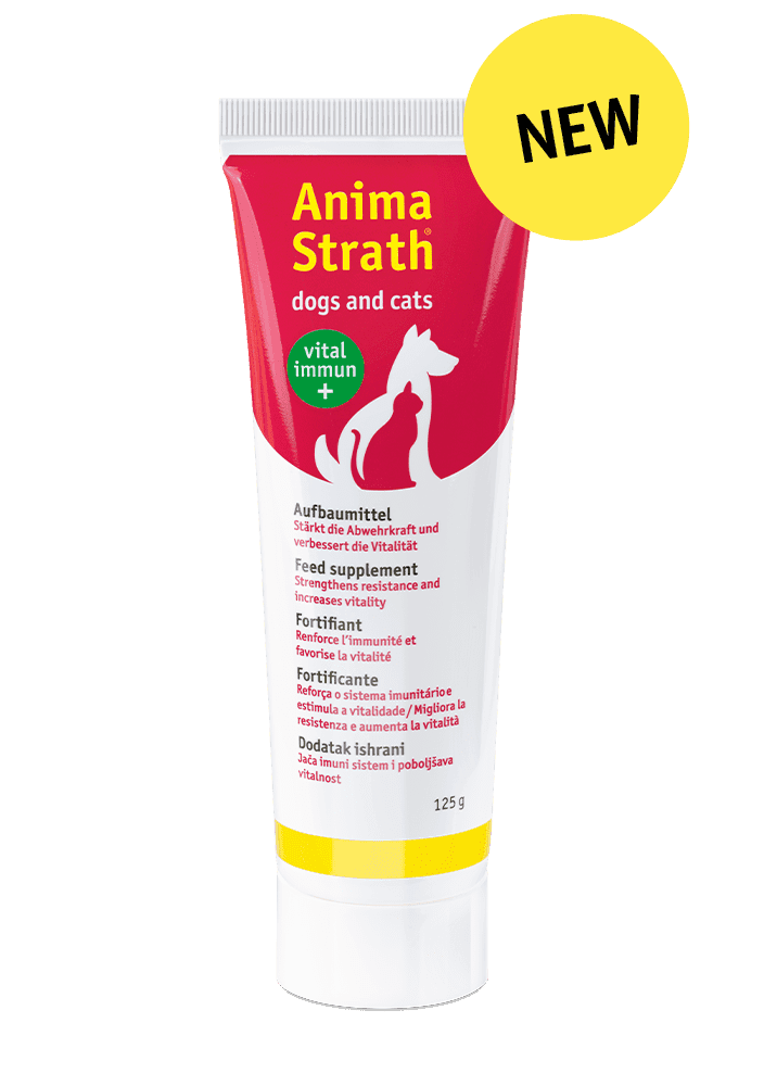 anima strath pasta anima-strath