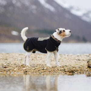 woolly wolf