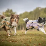 Woolly Wolf Borealis jakna za psa - Slika 4